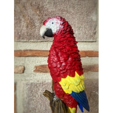 Macaw Papağanı