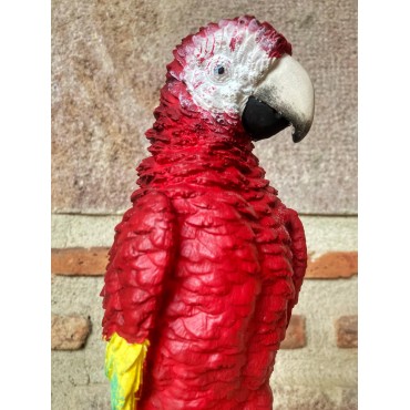 Macaw Papağanı