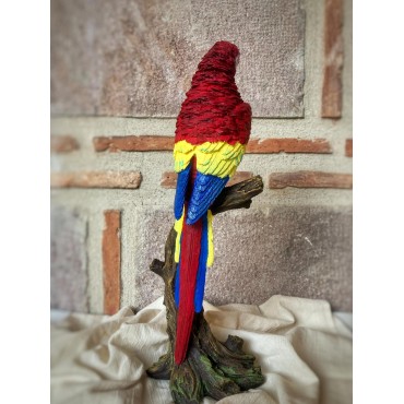 Macaw Papağanı