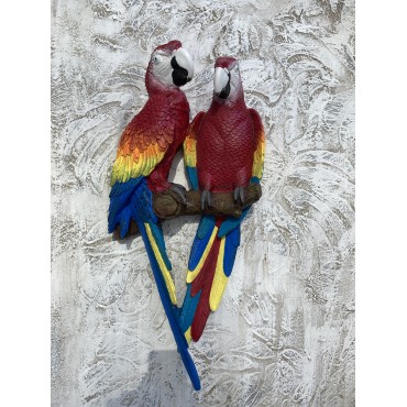 Papağan İkili Macaw