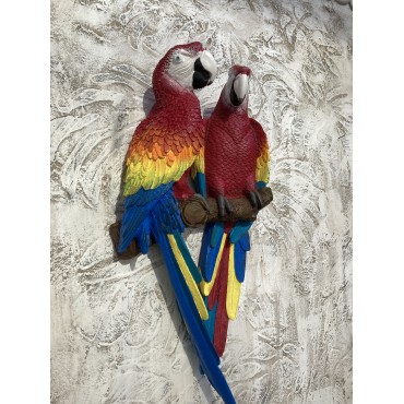 Papağan İkili Macaw