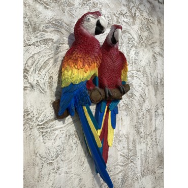 Papağan İkili Macaw