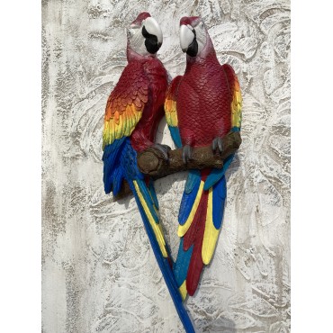 Papağan İkili Macaw