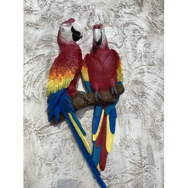 Papağan İkili Macaw