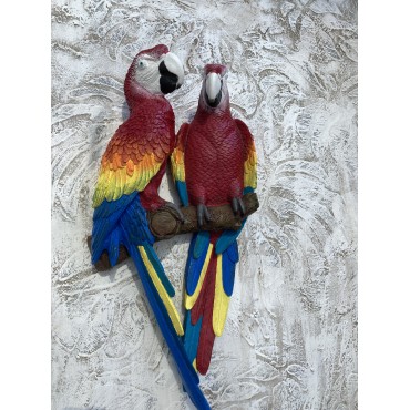 Papağan İkili Macaw