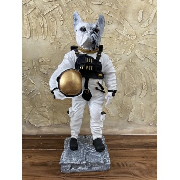 Köpek Astronot