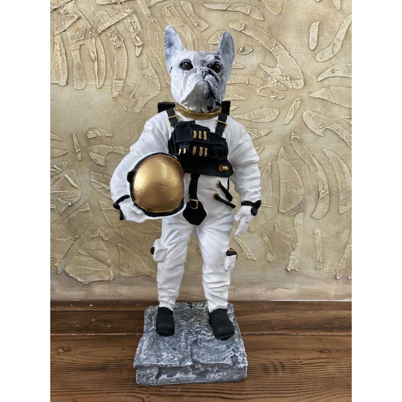 Köpek Astronot