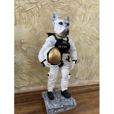 Köpek Astronot