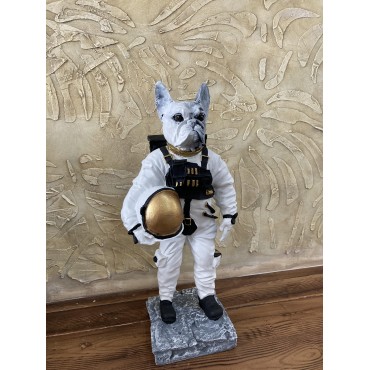 Köpek Astronot