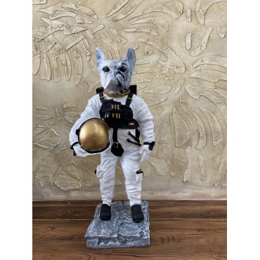 Köpek Astronot