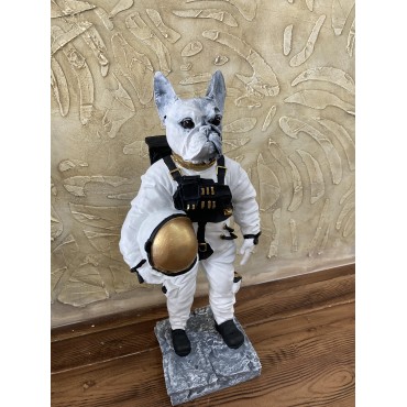 Köpek Astronot